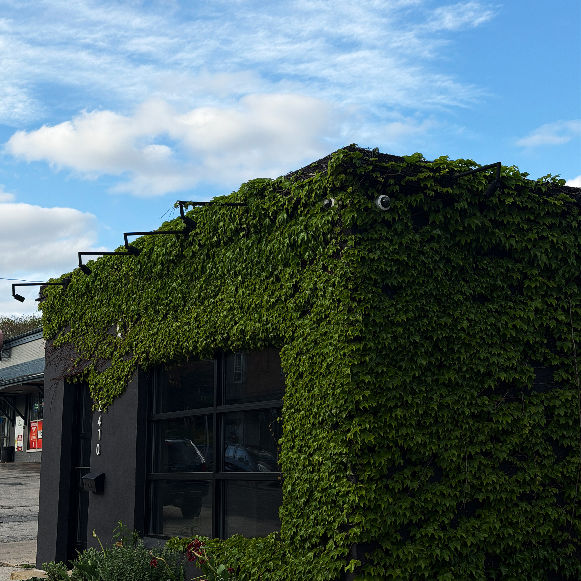 The ivy-covered facade of Blue Hour Coffee at 2410 N Murray Ave